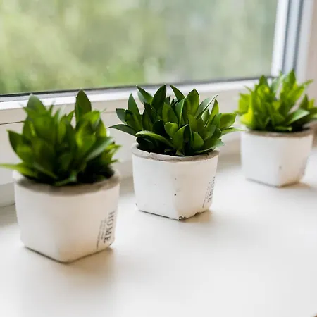 Apartamento Osiedle Sobieskiego Comfort By Bookinghost Poznan