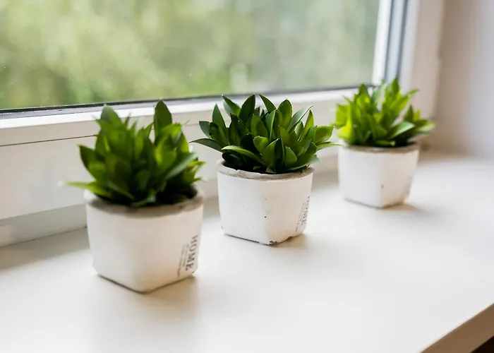 شقة Osiedle Sobieskiego Comfort By Bookinghost بوزنان